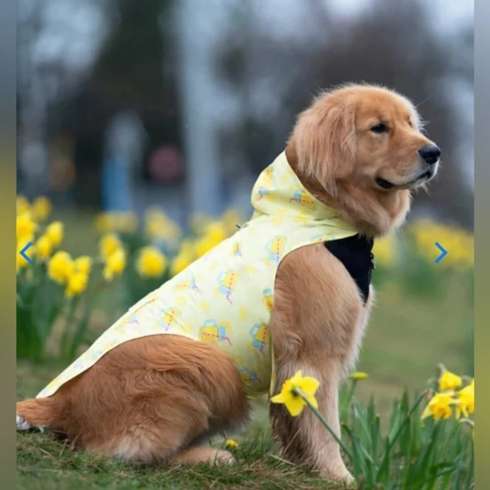 Canada Pooch Poncho Lemonade NWT